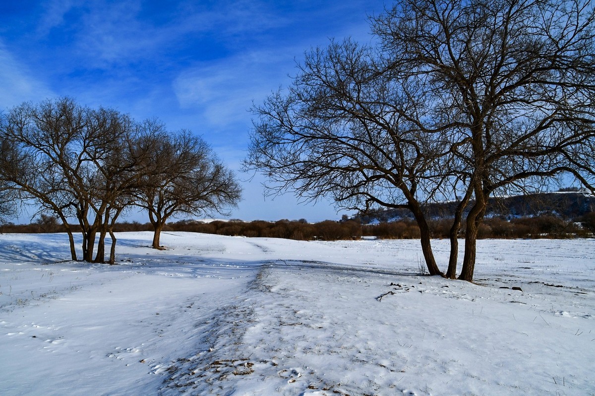 我只是把出去看到的随手记录下来（七十七）