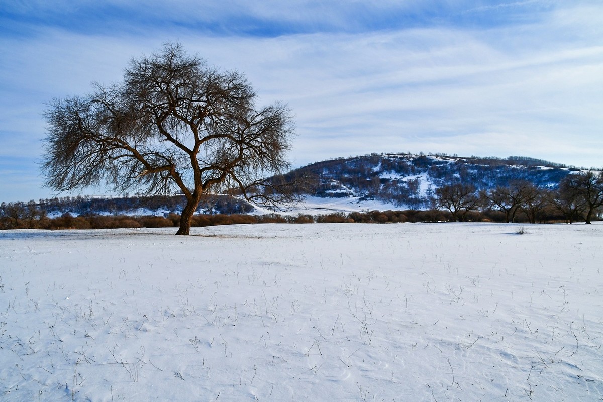 我只是把出去看到的随手记录下来（七十七）