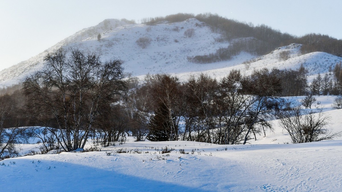 我只是把出去看到的随手记录下来（七十七）