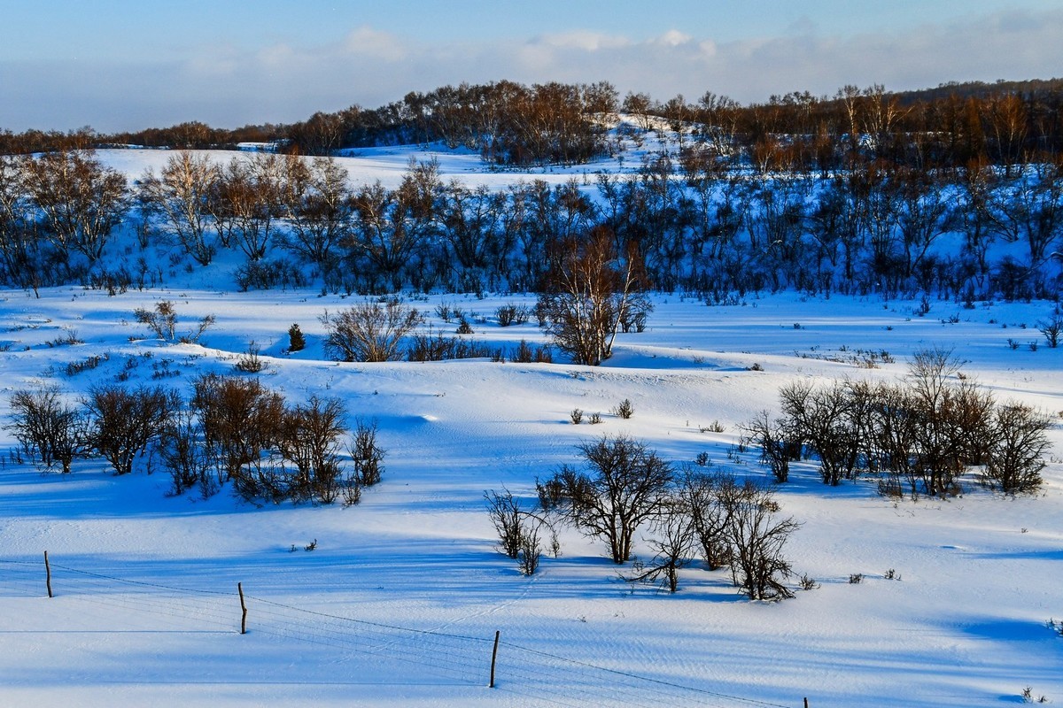 我只是把出去看到的随手记录下来（七十七）