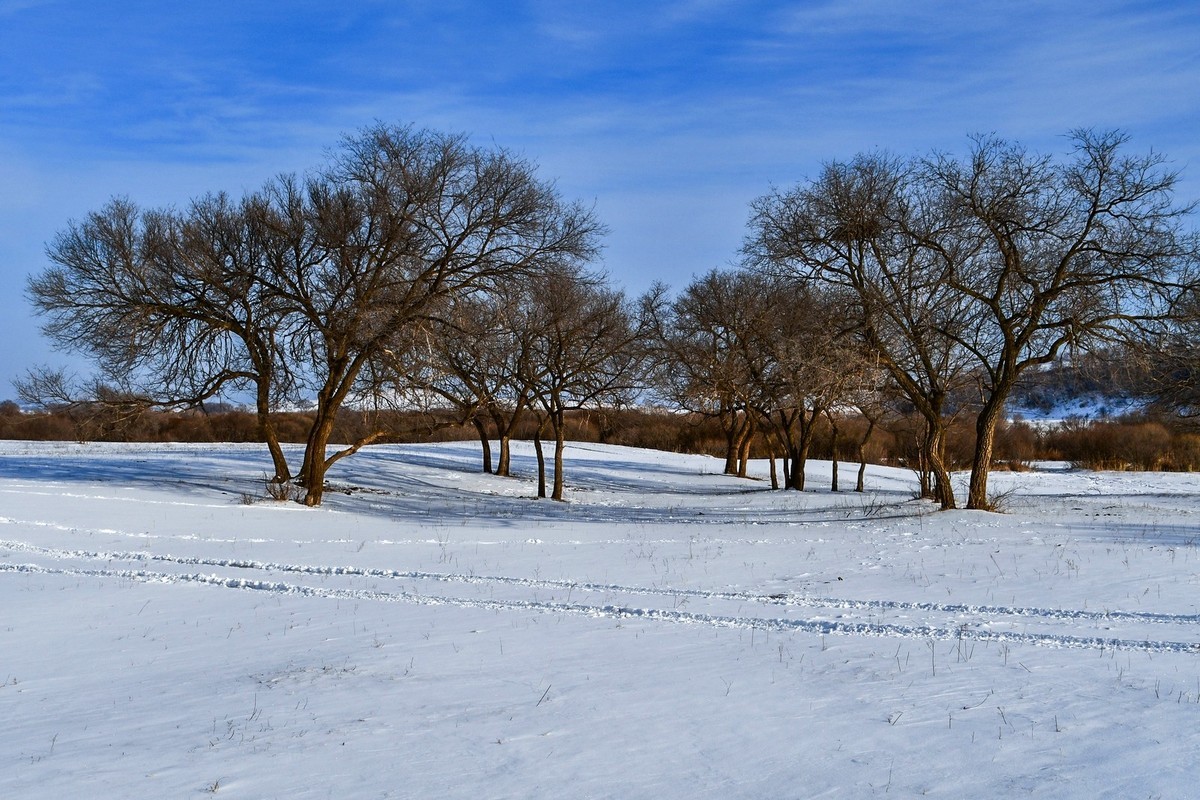 春节乌兰布统塞罕坝之行 及路上所见（三）