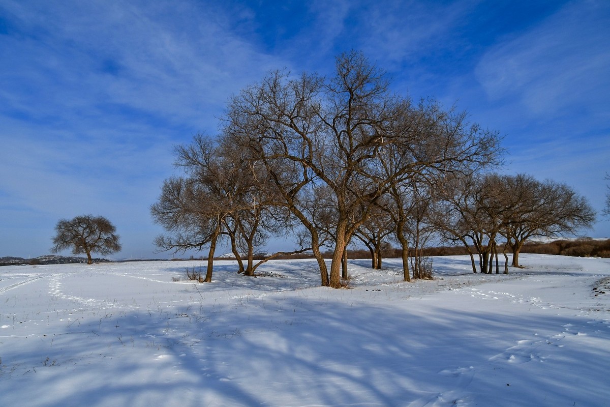春节乌兰布统塞罕坝之行 及路上所见（三）
