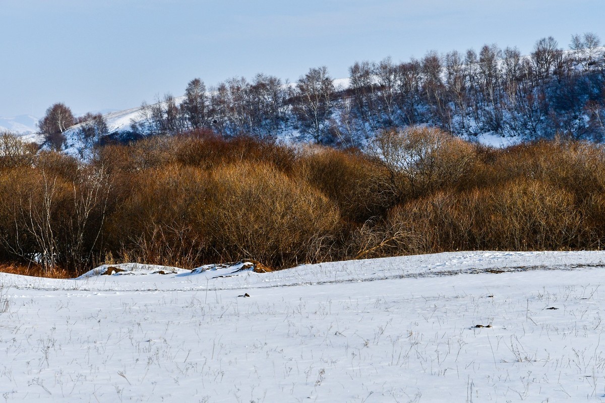 春节乌兰布统塞罕坝之行 及路上所见（三）