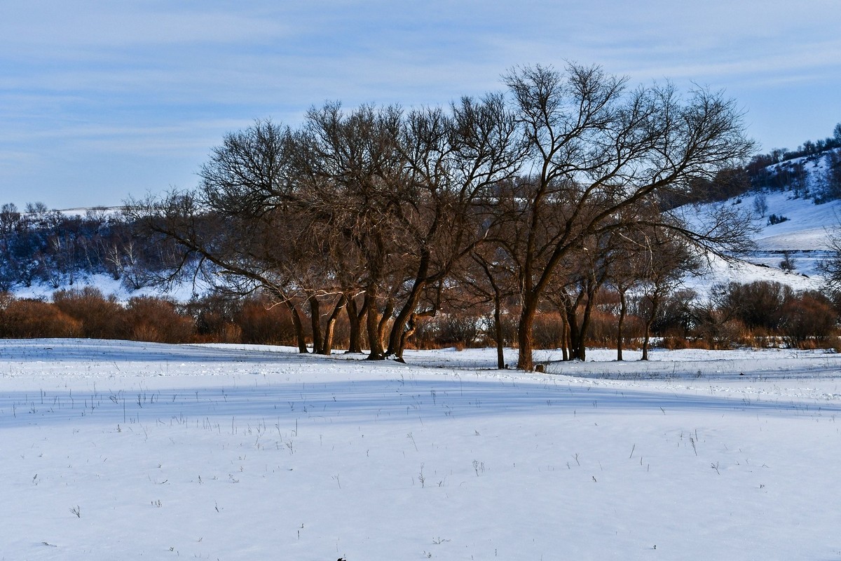 春节乌兰布统塞罕坝之行 及路上所见（三）