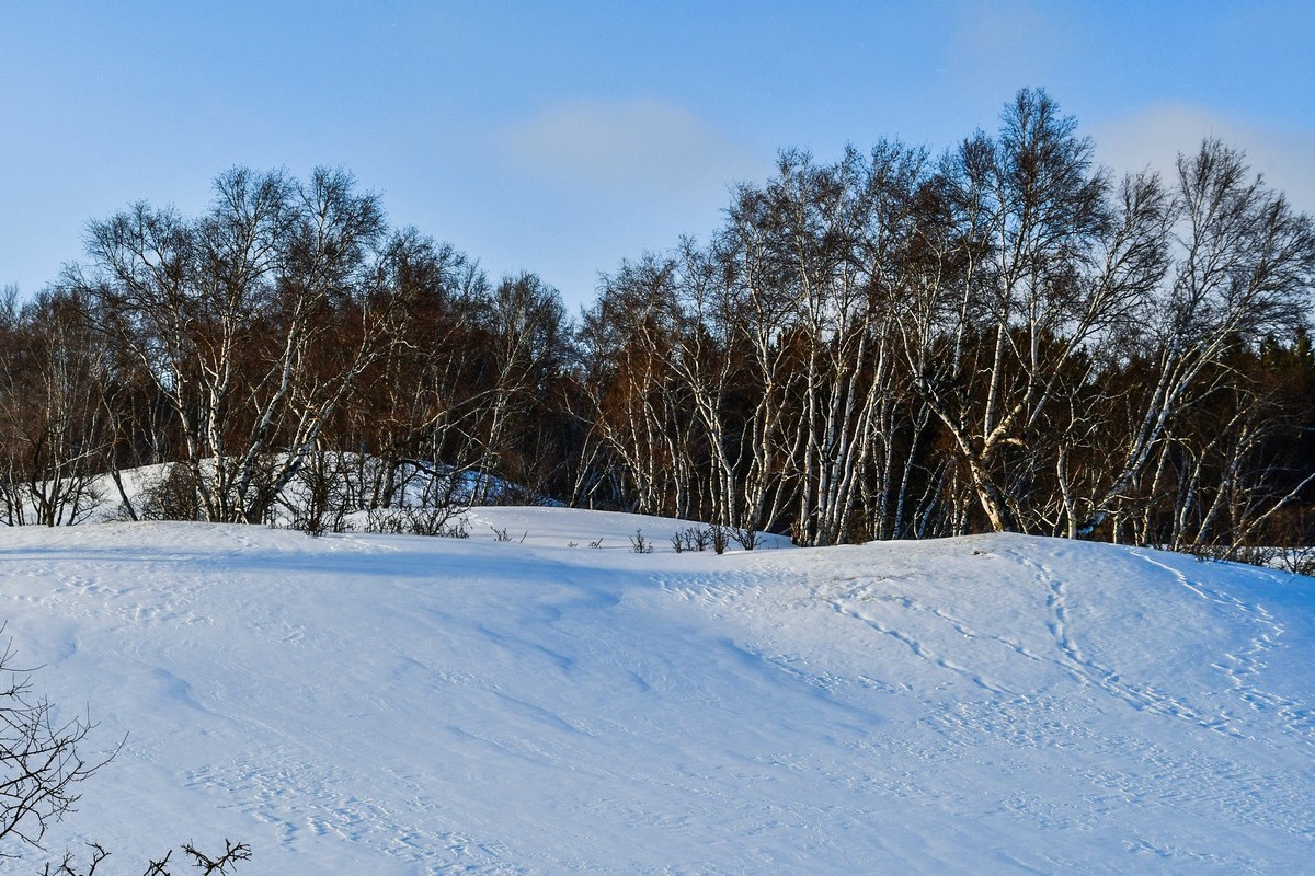 春节乌兰布统塞罕坝之行 及路上所见（三）