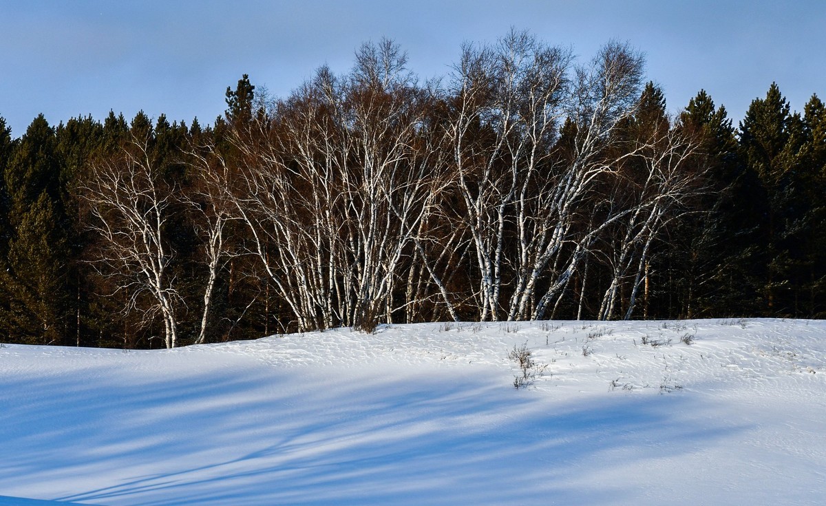 春节乌兰布统塞罕坝之行 及路上所见（三）
