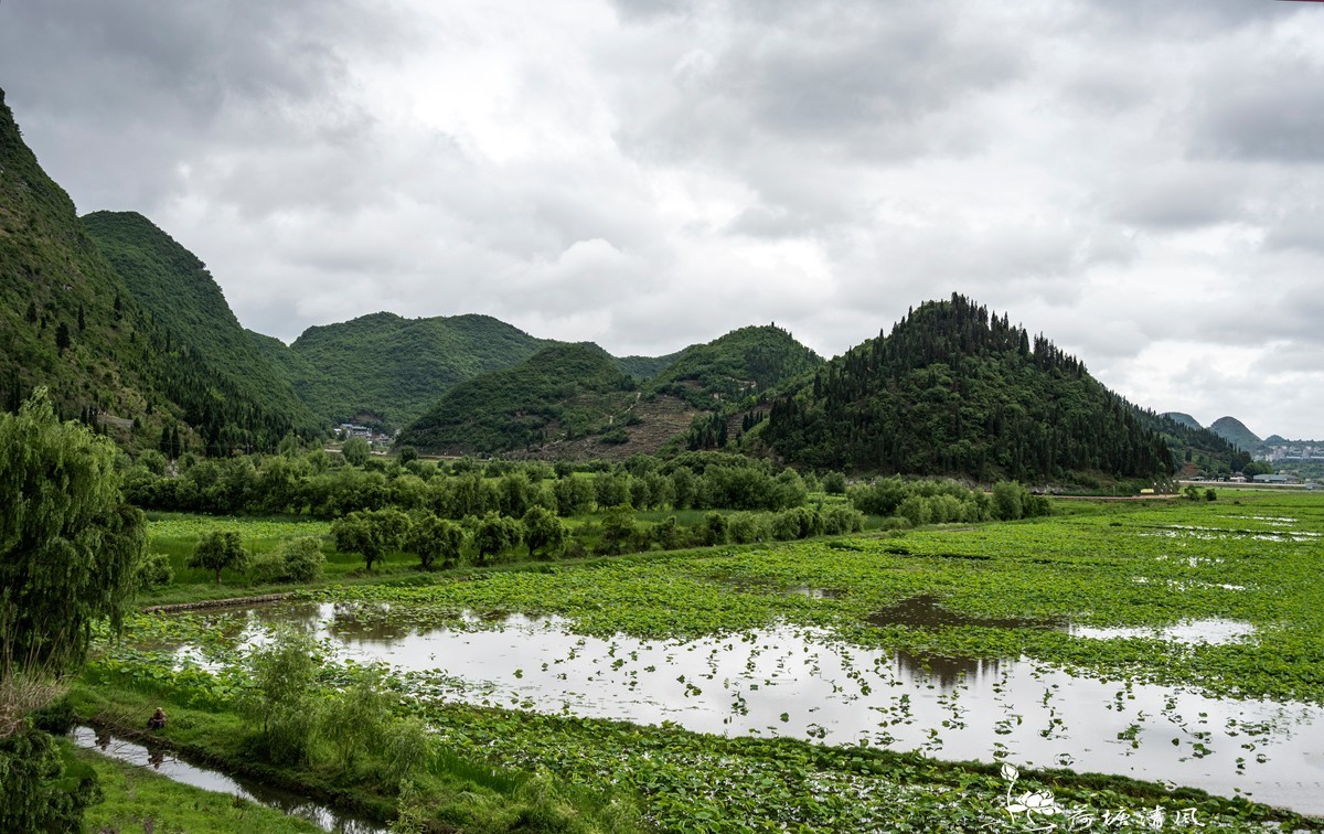 今天下午、小雨中拍摄安龙十里荷塘三号亭。