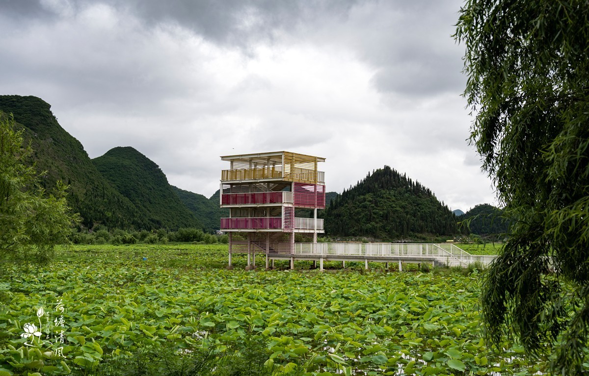 今天下午、小雨中拍摄安龙十里荷塘三号亭。