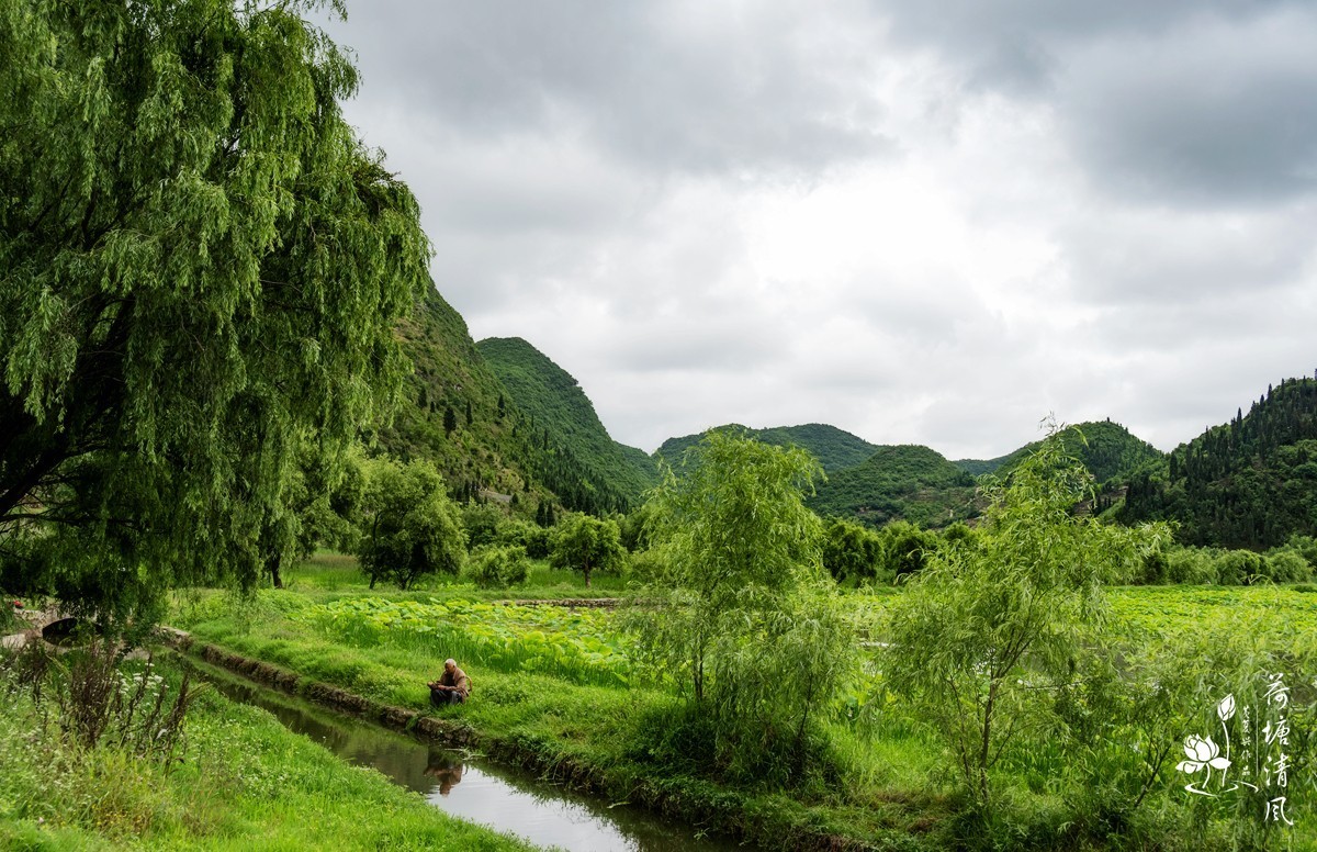 今天下午、小雨中拍摄安龙十里荷塘三号亭。