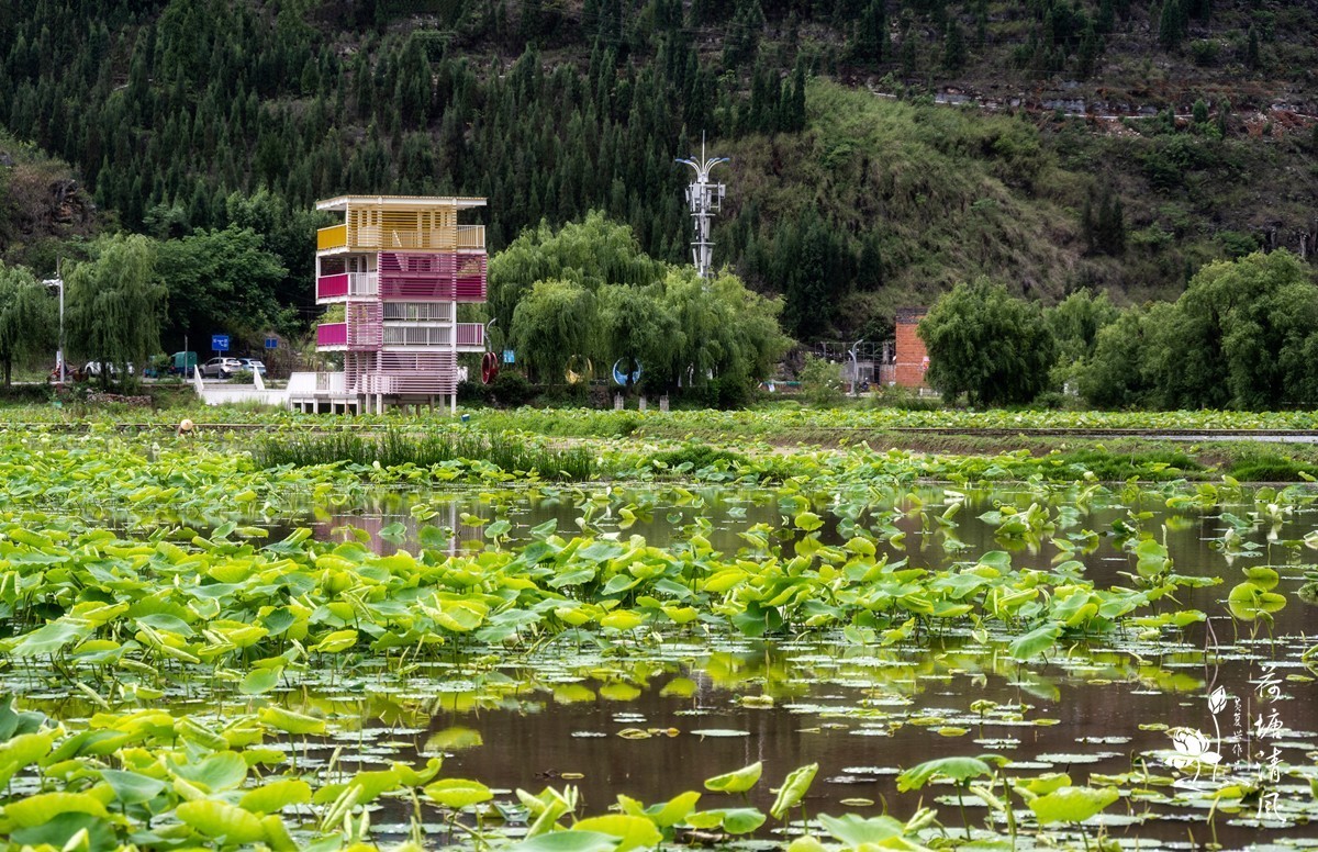 今天下午、小雨中拍摄安龙十里荷塘三号亭。