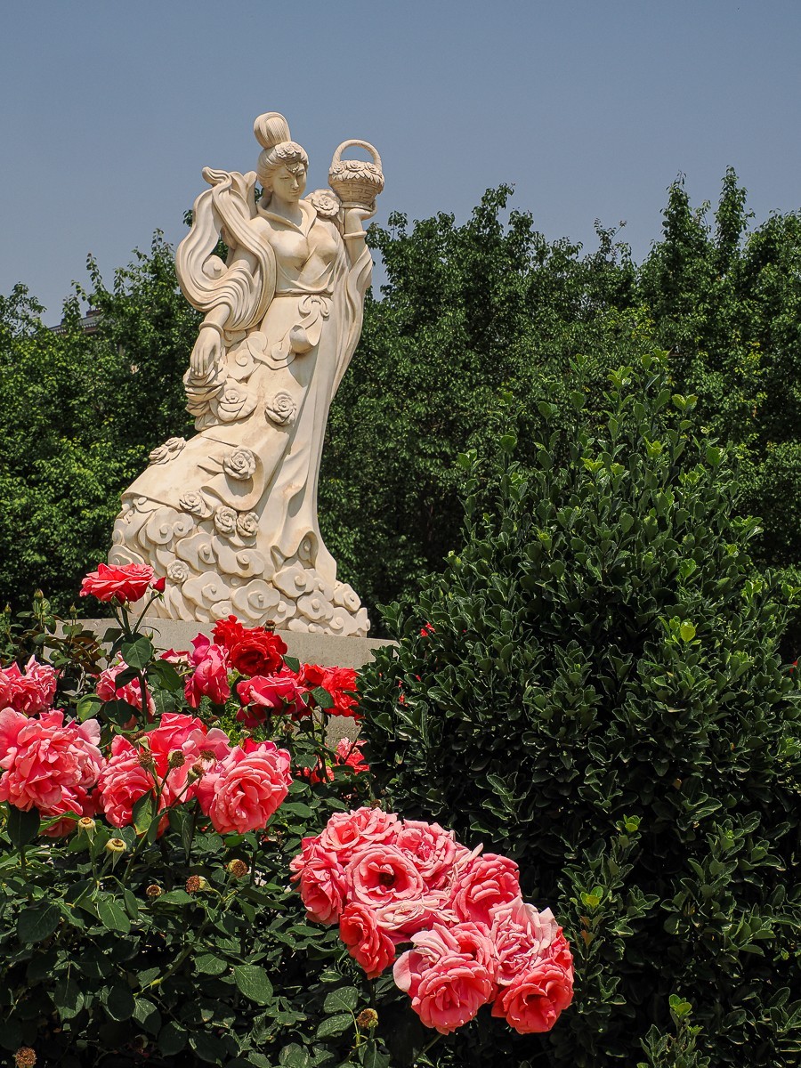 游北京大兴世界月季主题园