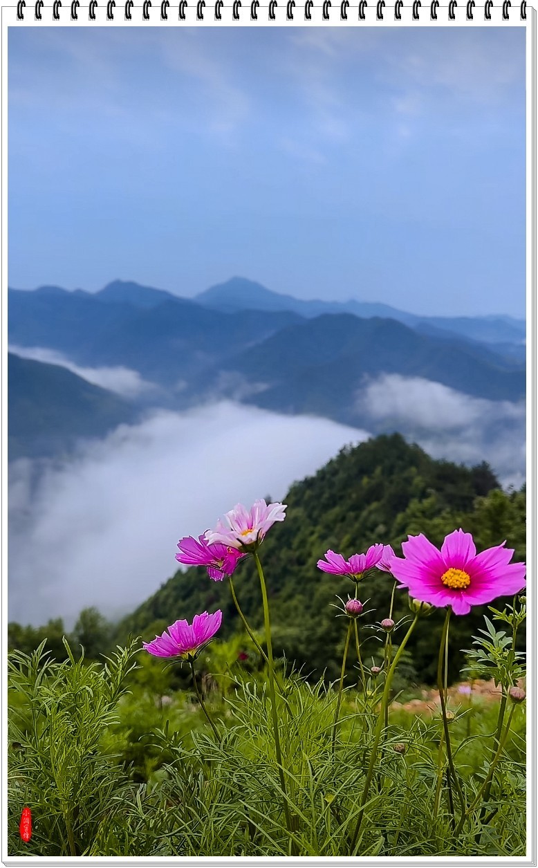 2025年-人文纪实风光抓拍-0460