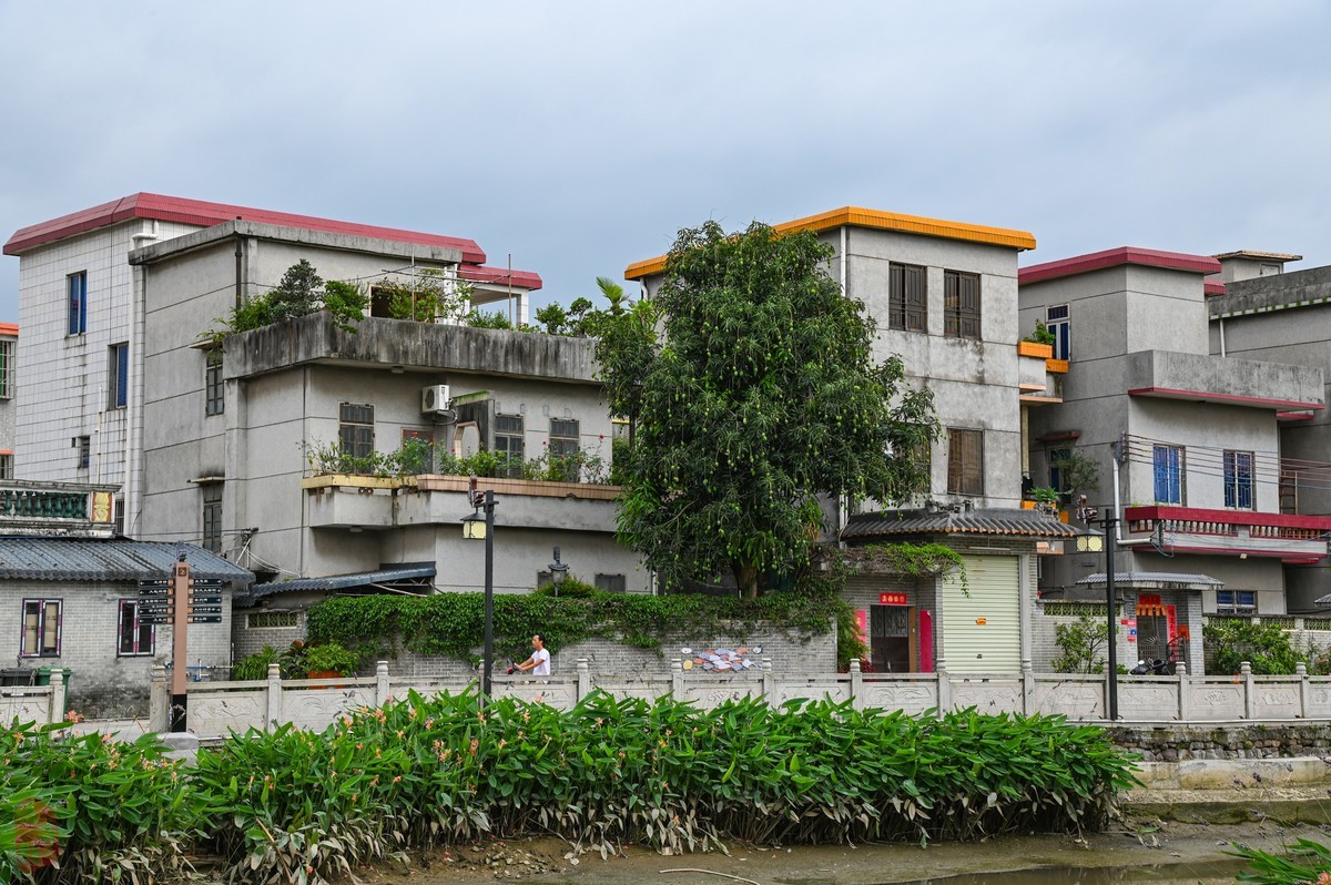 大岭-拥有900多年历史的文化名村