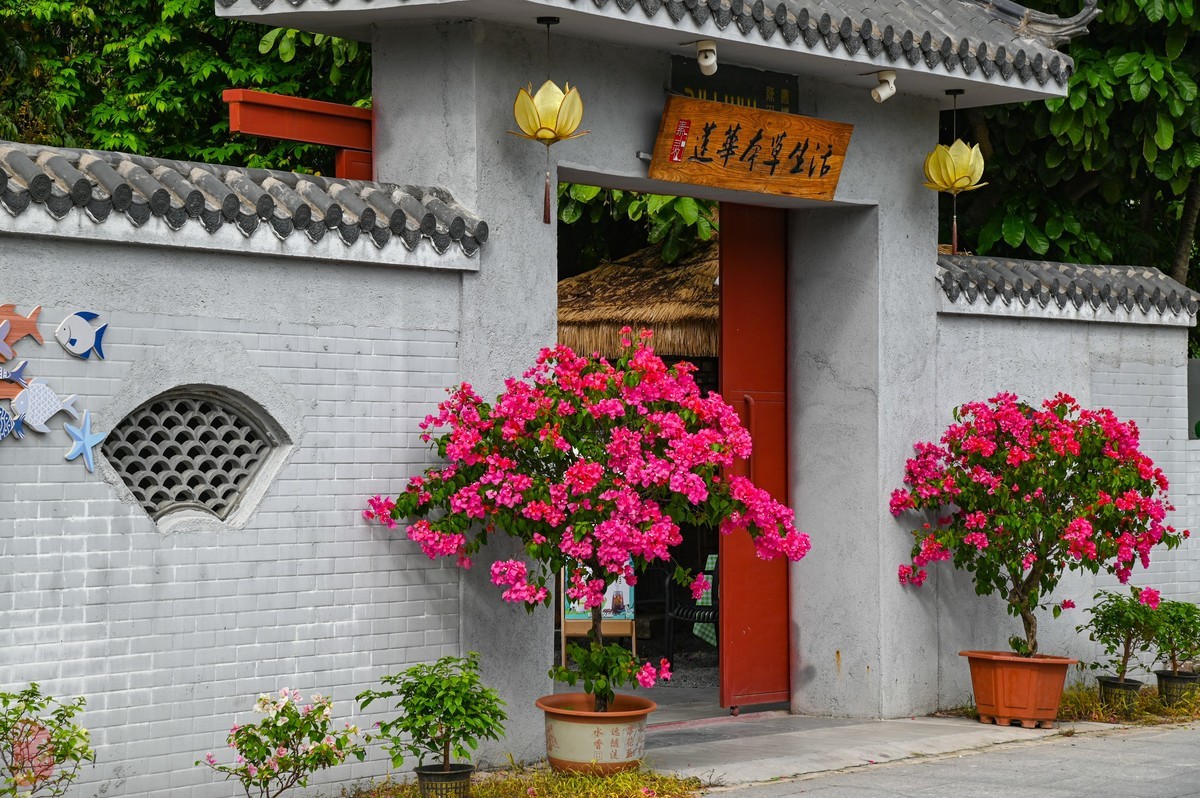 大岭-拥有900多年历史的文化名村