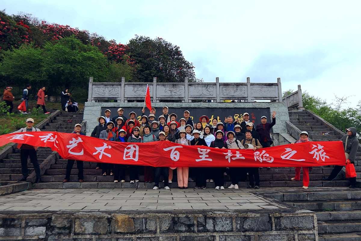 百里杜鹃随拍