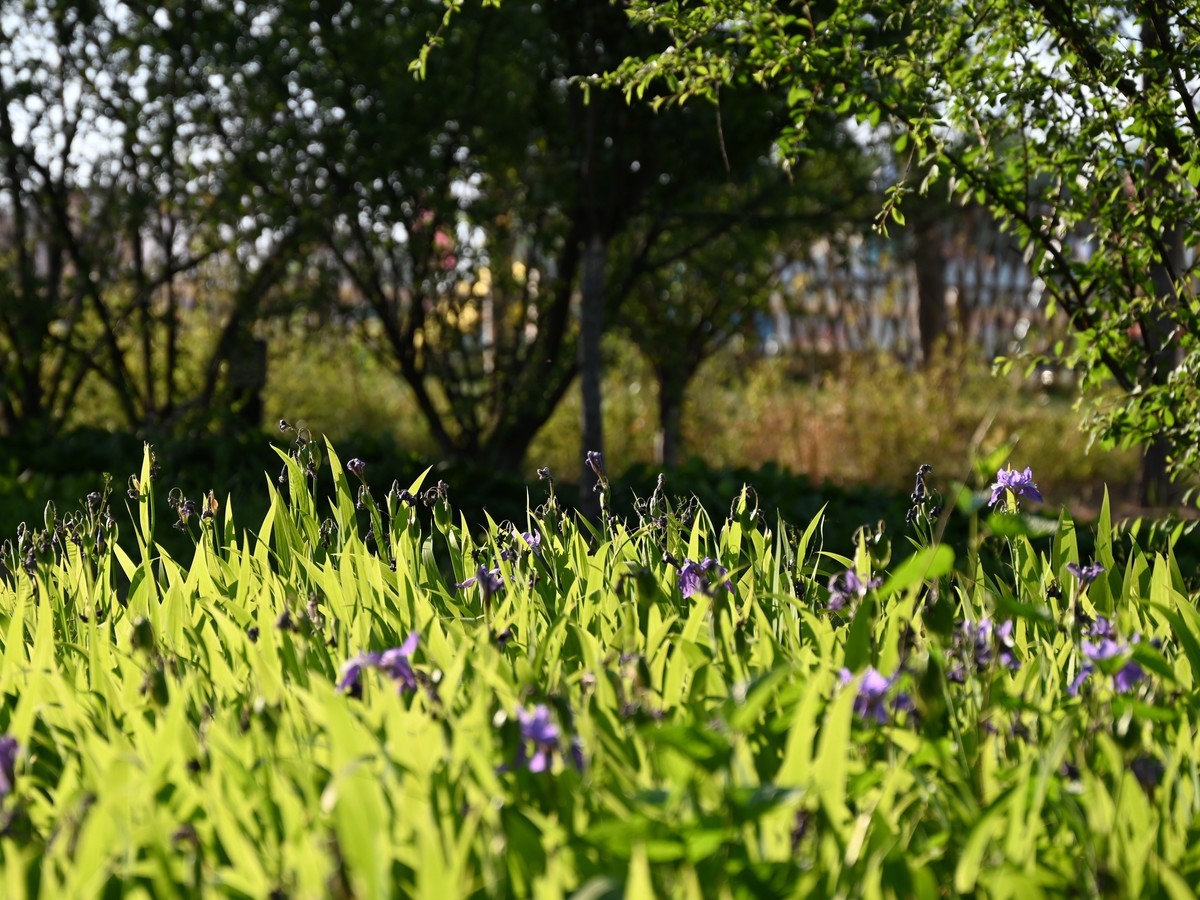 新手小白初试z5*24-200，轻喷