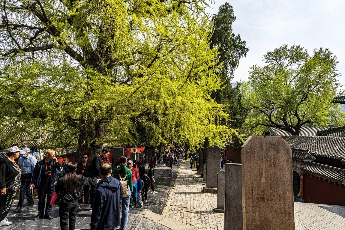 河南嵩山--少林寺【3】