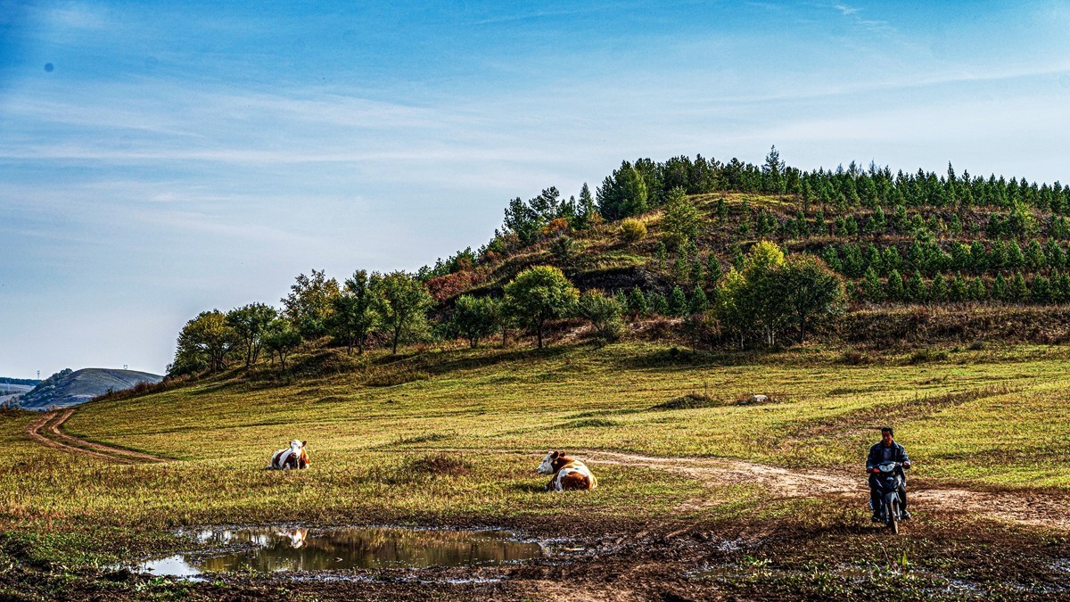 行走在--坝上草原【6】