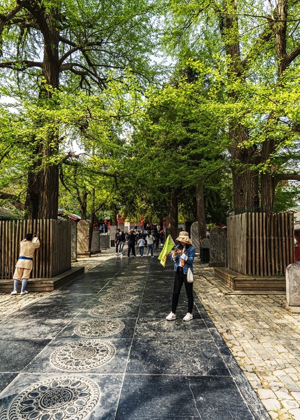 河南嵩山--少林寺【3】