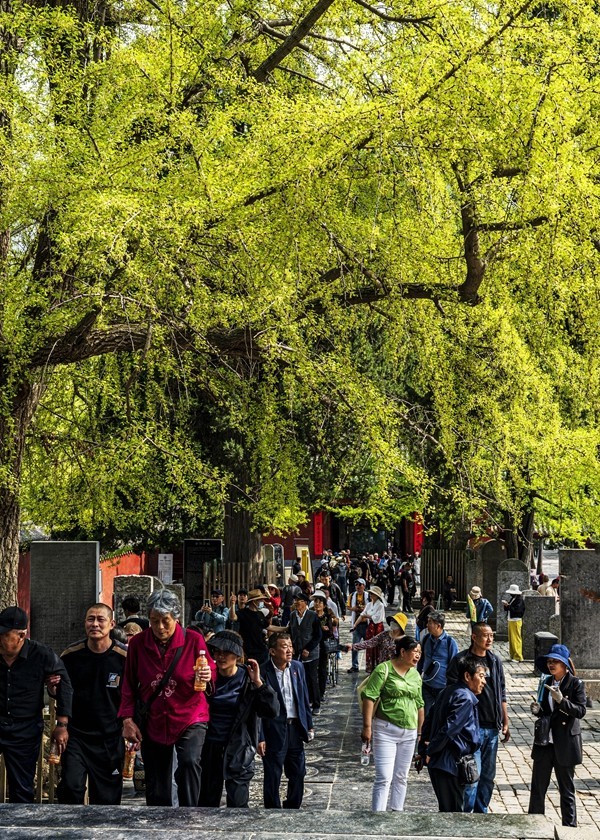 河南嵩山--少林寺【3】