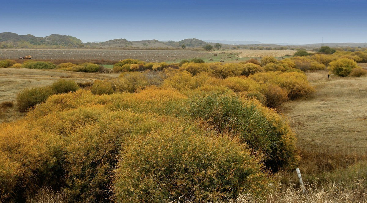 乌兰布统坝上木兰围场河湾湿地