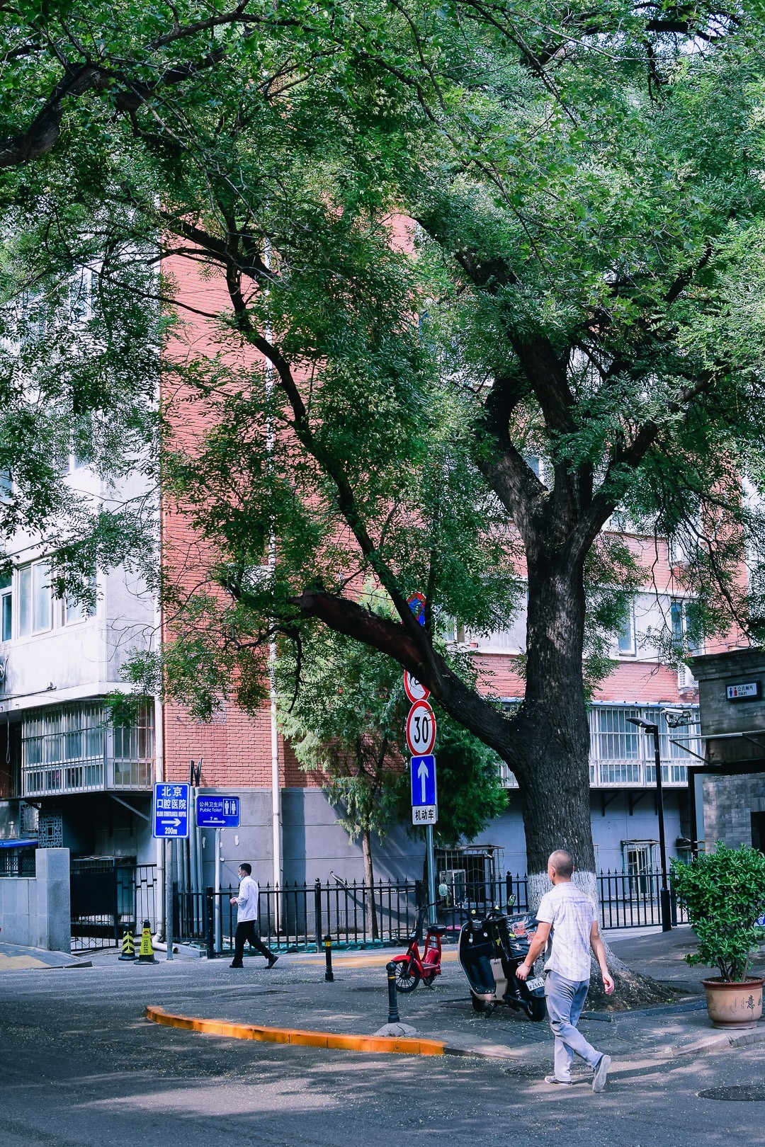 D5300拍着玩--扫街