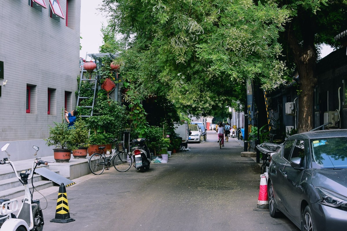 D5300拍着玩--扫街