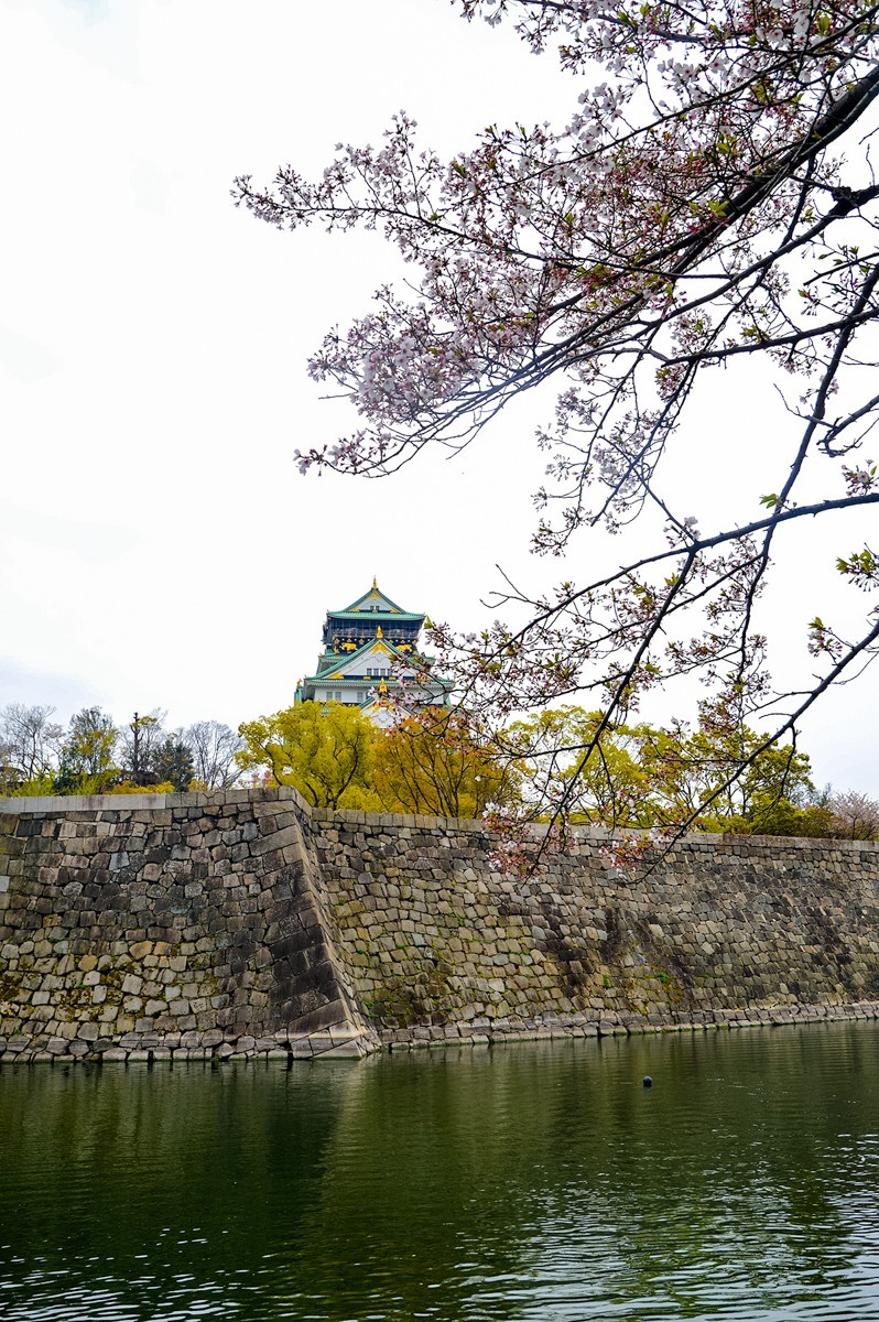 2019年樱花随拍-0929-21