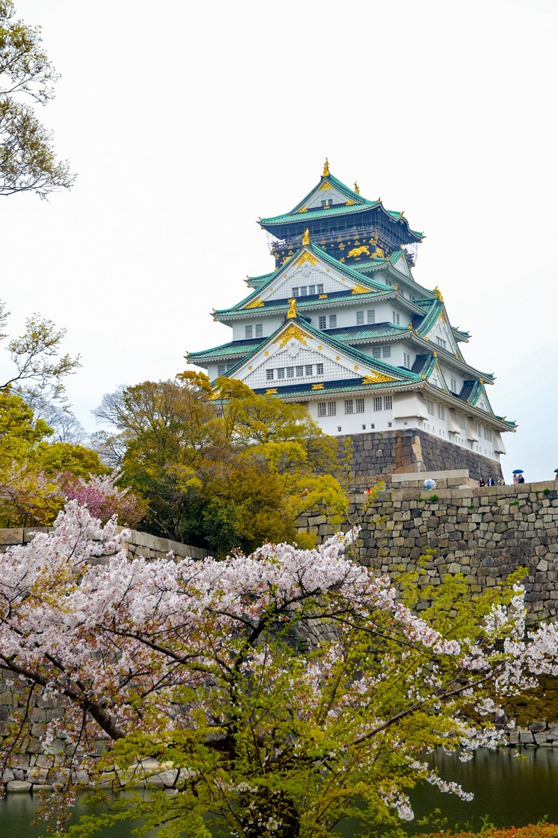 2019年樱花随拍-0929-21