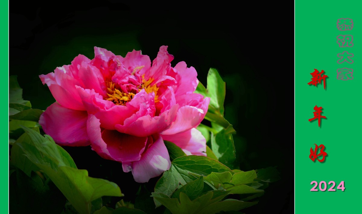 恭祝大家新年好（2024001）