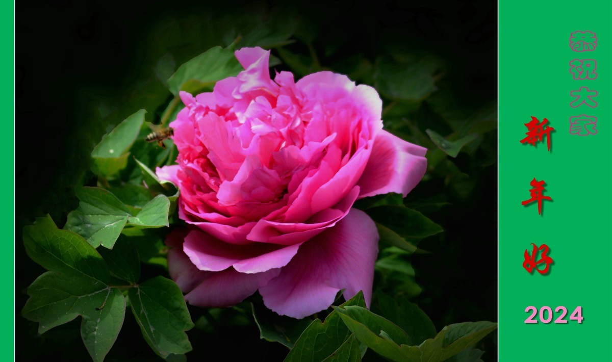 恭祝大家新年好（2024001）