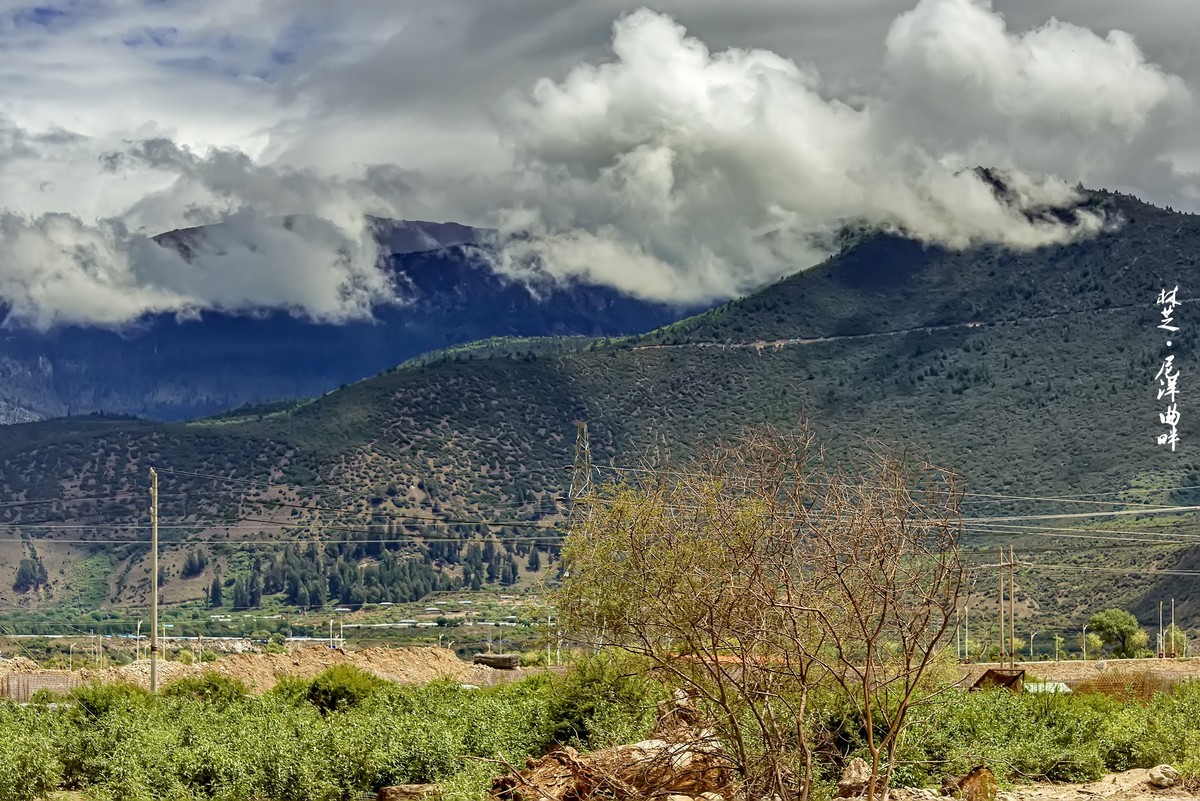 国道318 · 林芝风光（2）