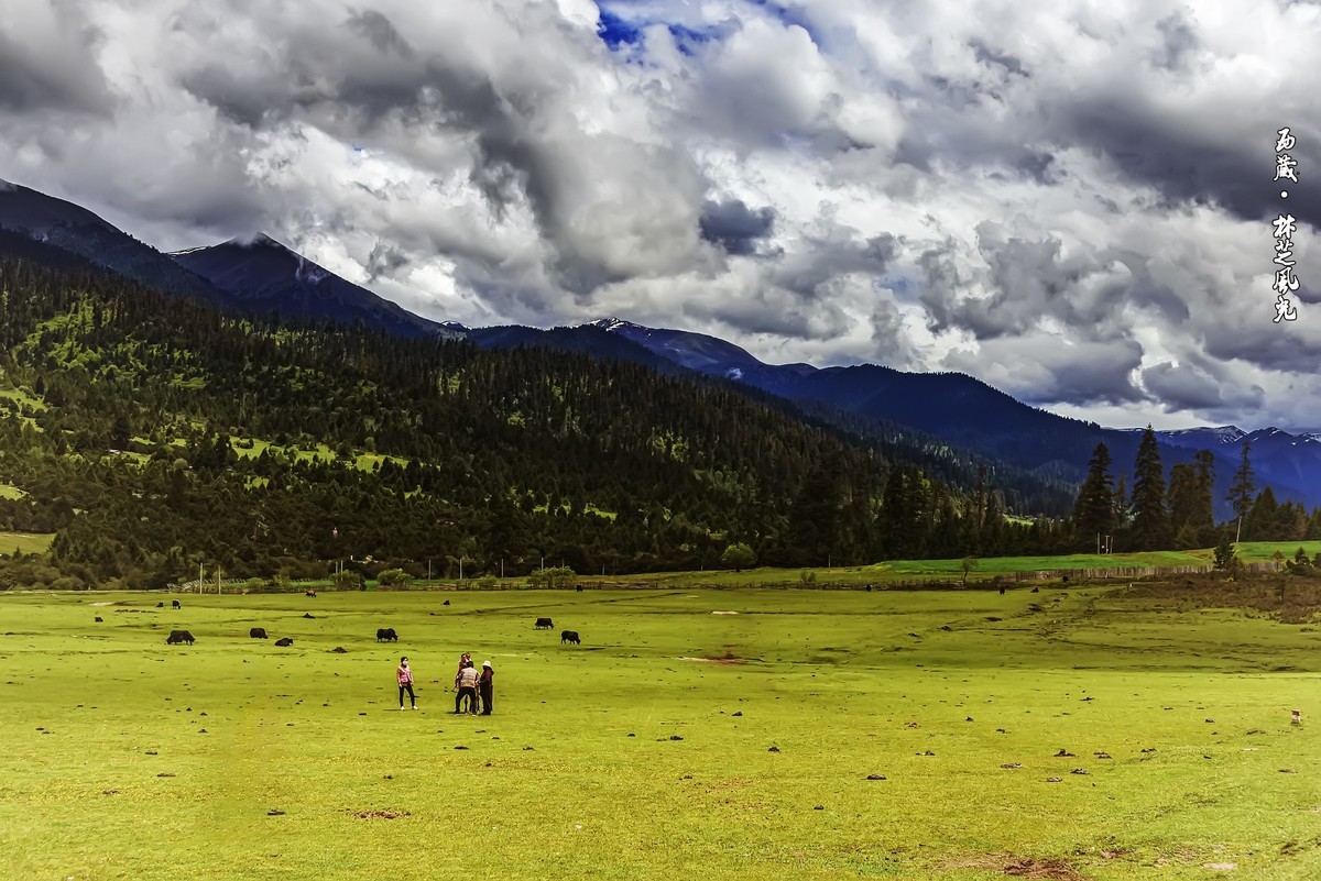 国道318 · 林芝风光（2）