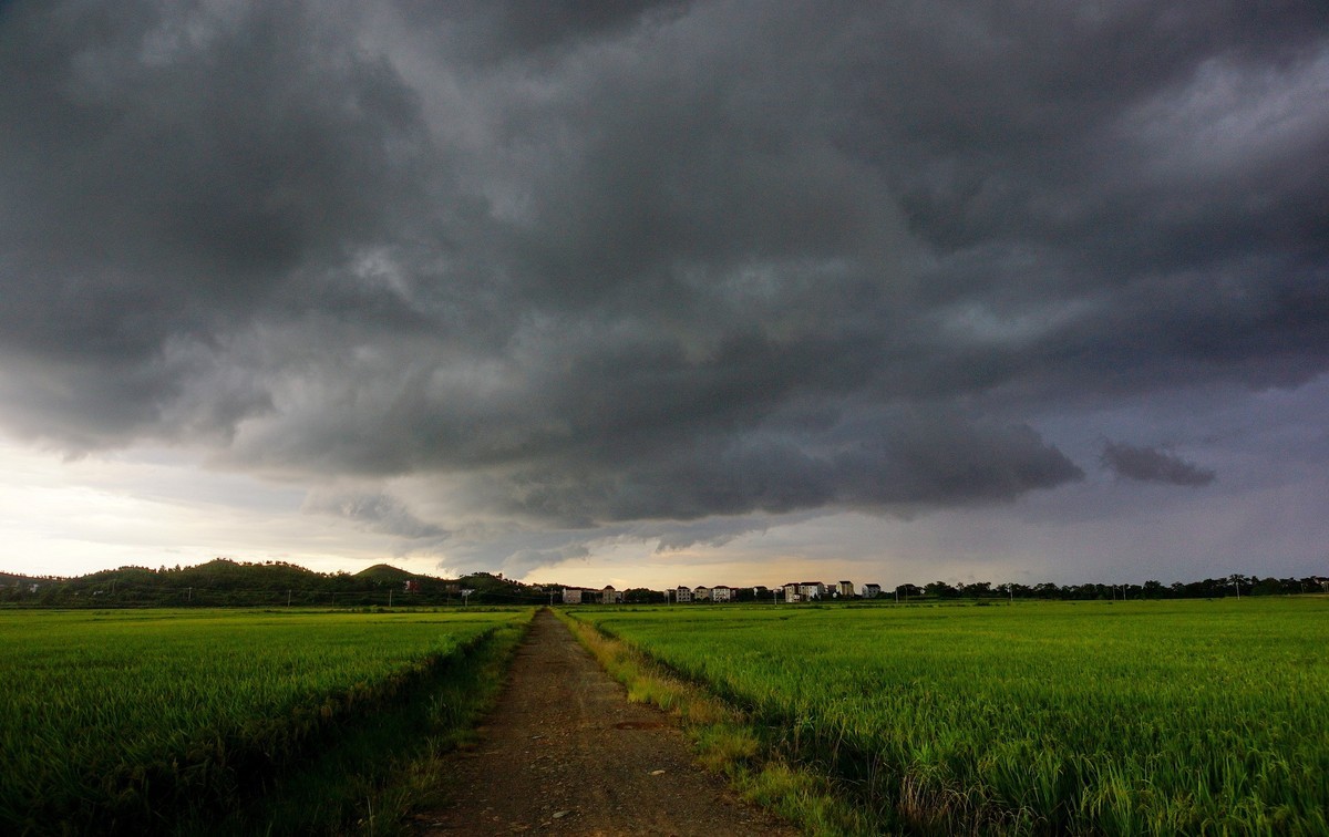 山 雨 欲 来 云 遮 天