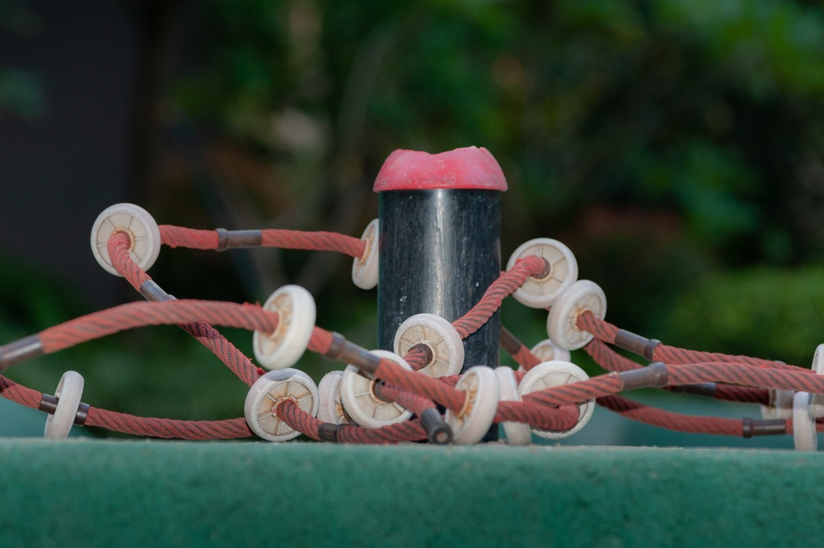 有钱难买我钟意