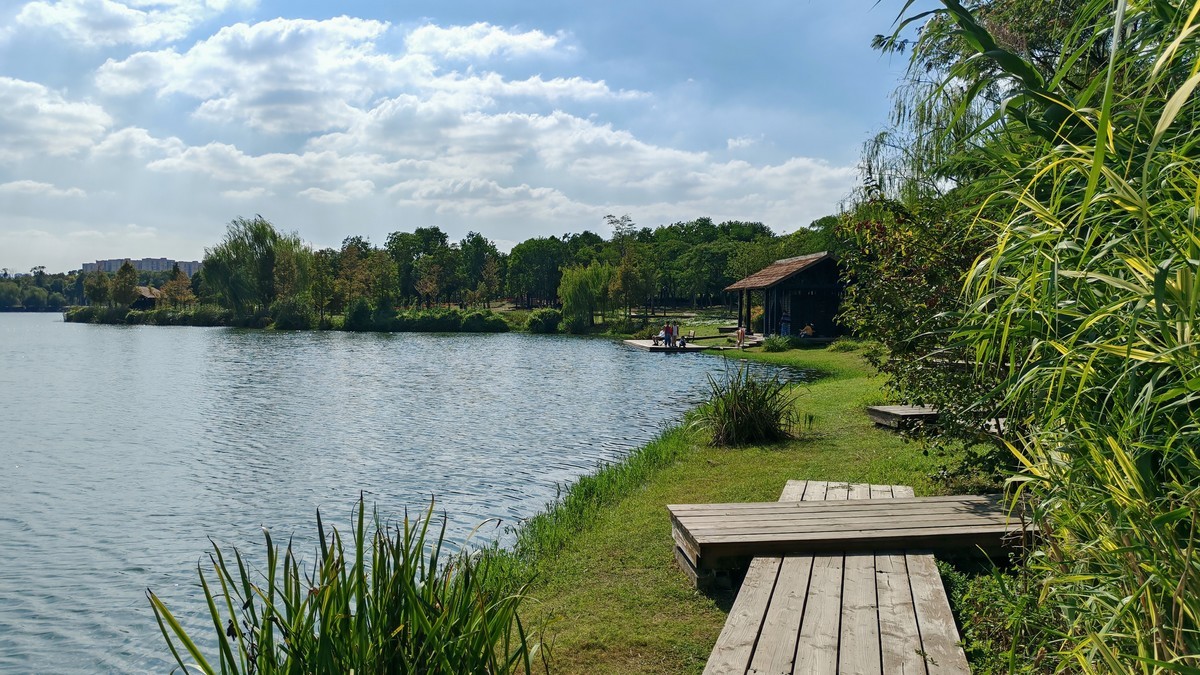 新机国庆实拍（汀棠公园）