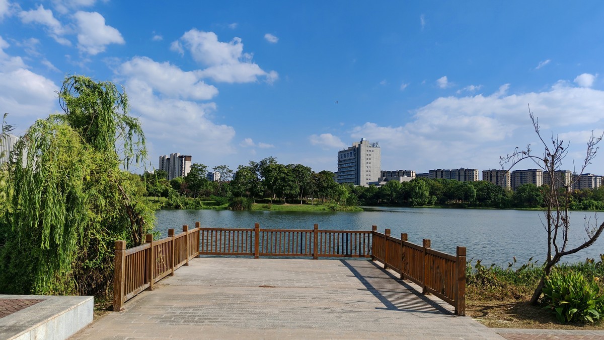 新机国庆实拍（汀棠公园）