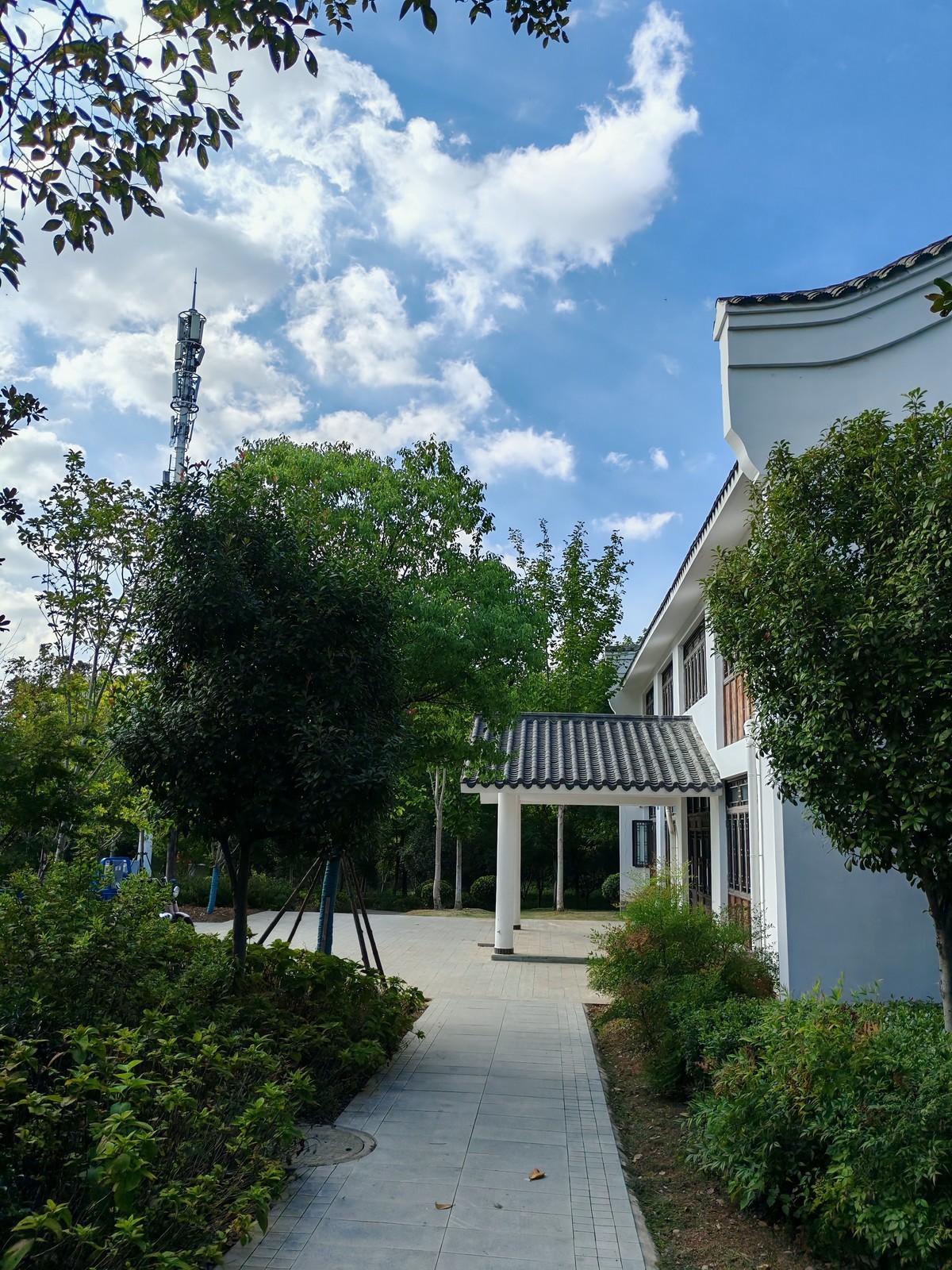 新机国庆实拍（汀棠公园）