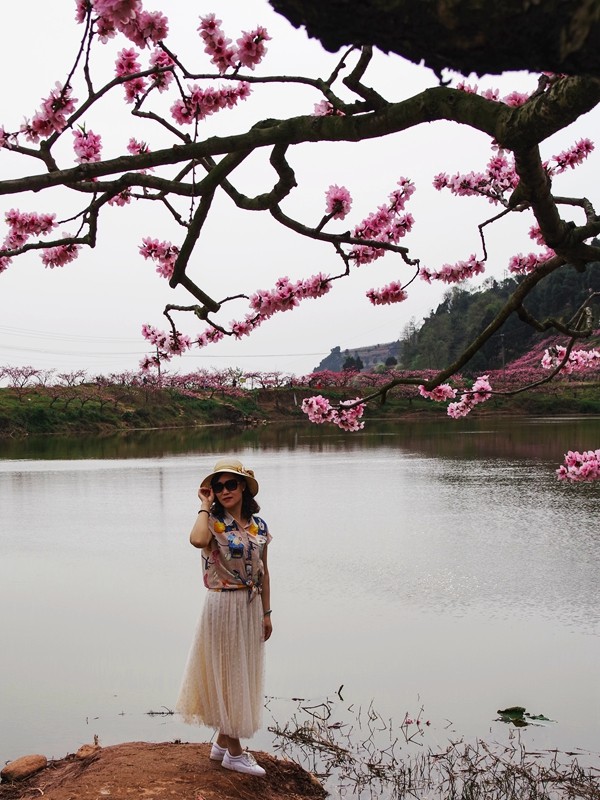 春日探访成都龙泉桃花沟【5】