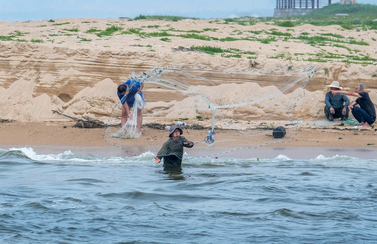 海边淘（二十）