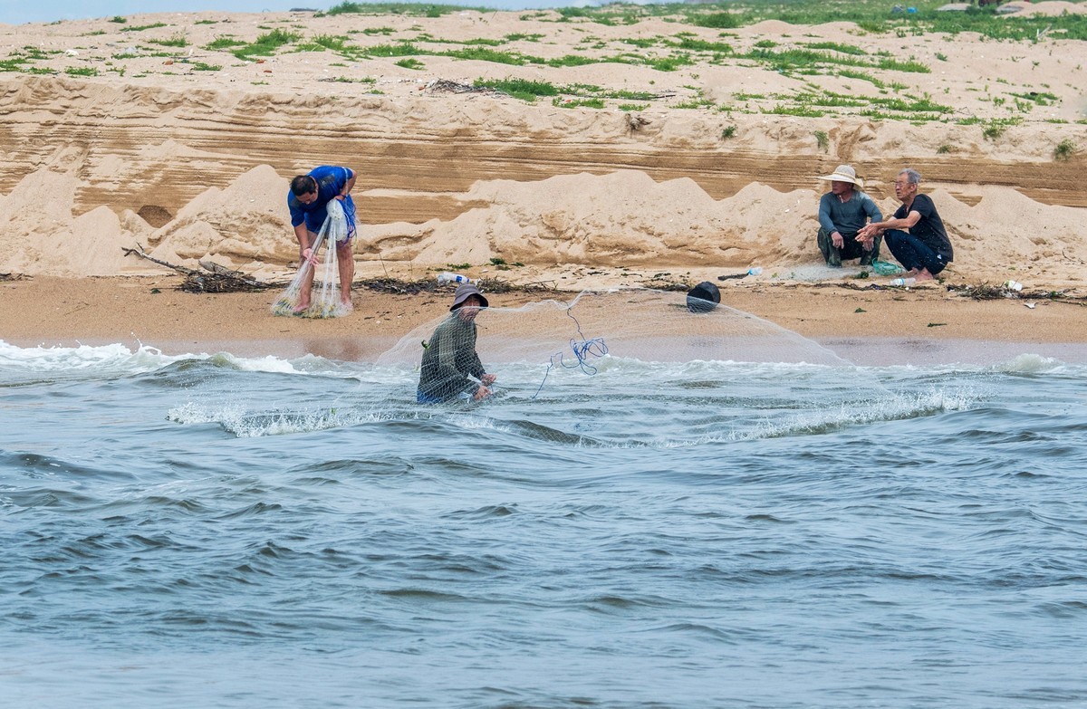 海边淘（二十）