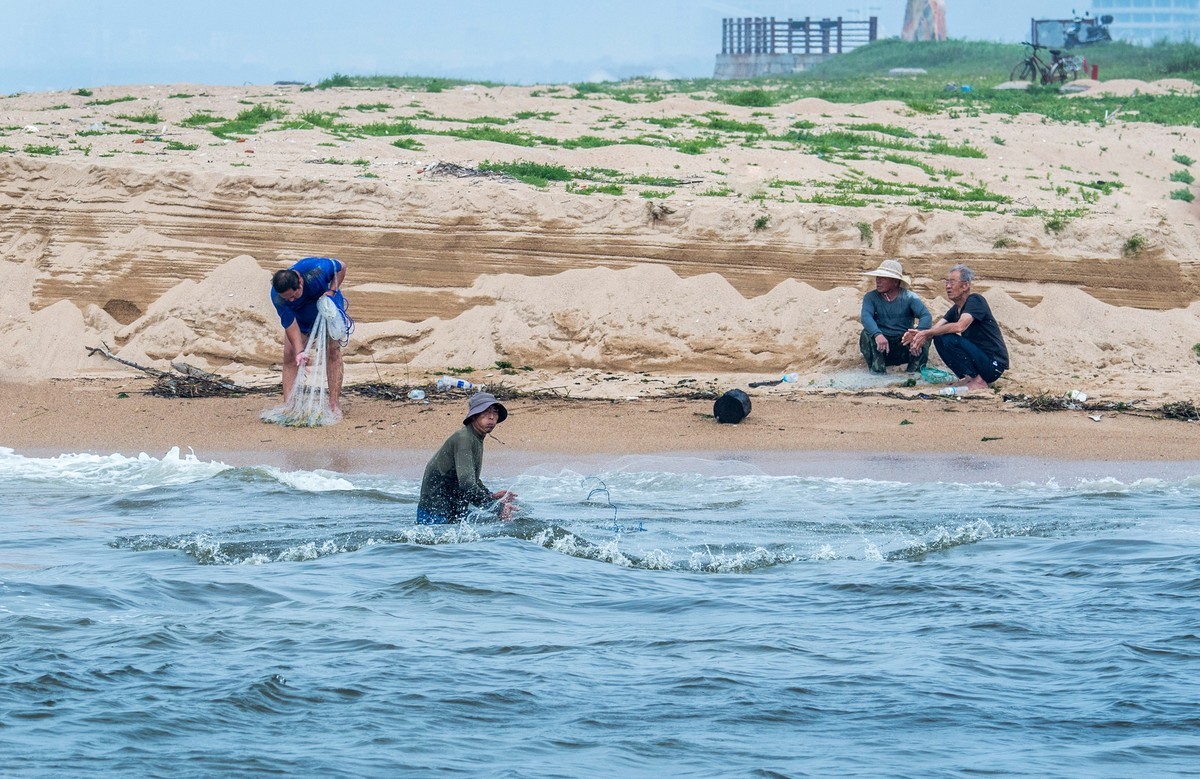 海边淘（二十）