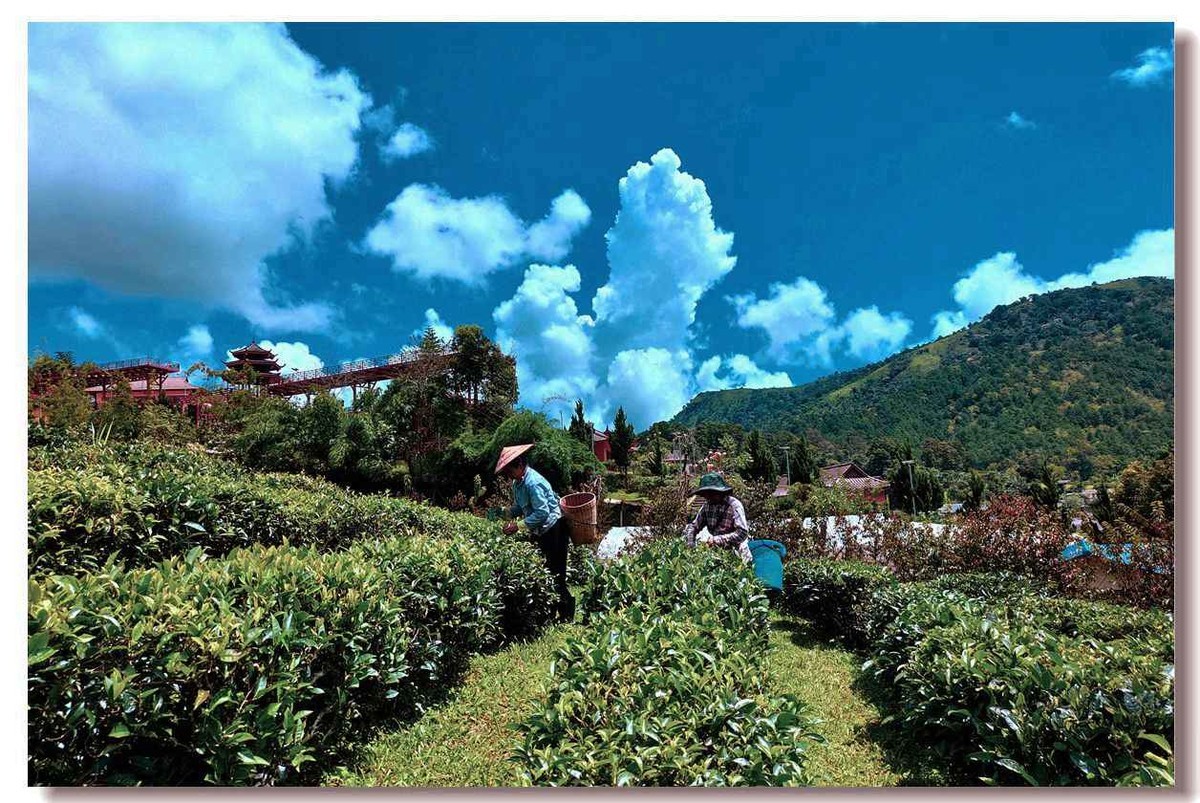 走进泰北密窝村