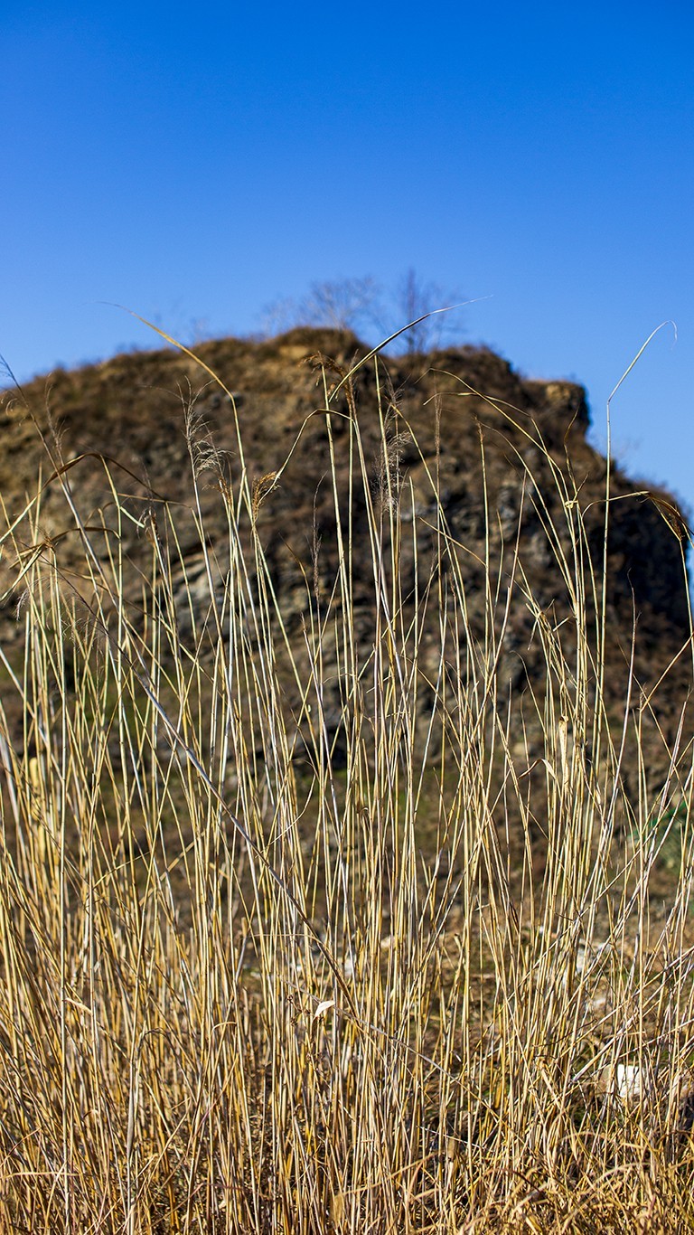 南京六。合西阳山矿坑石柱林