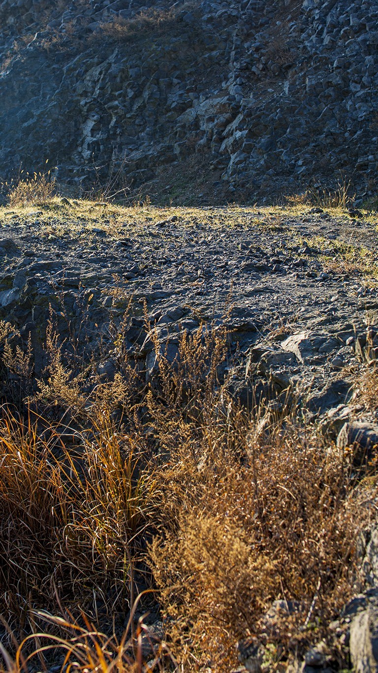 南京六。合西阳山矿坑石柱林