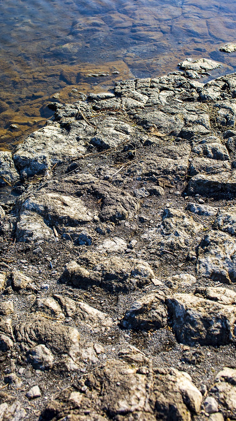 南京六。合西阳山矿坑石柱林