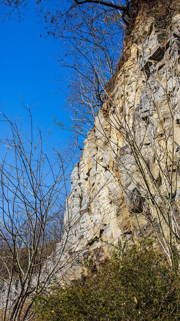 南京六。合西阳山矿坑石柱林