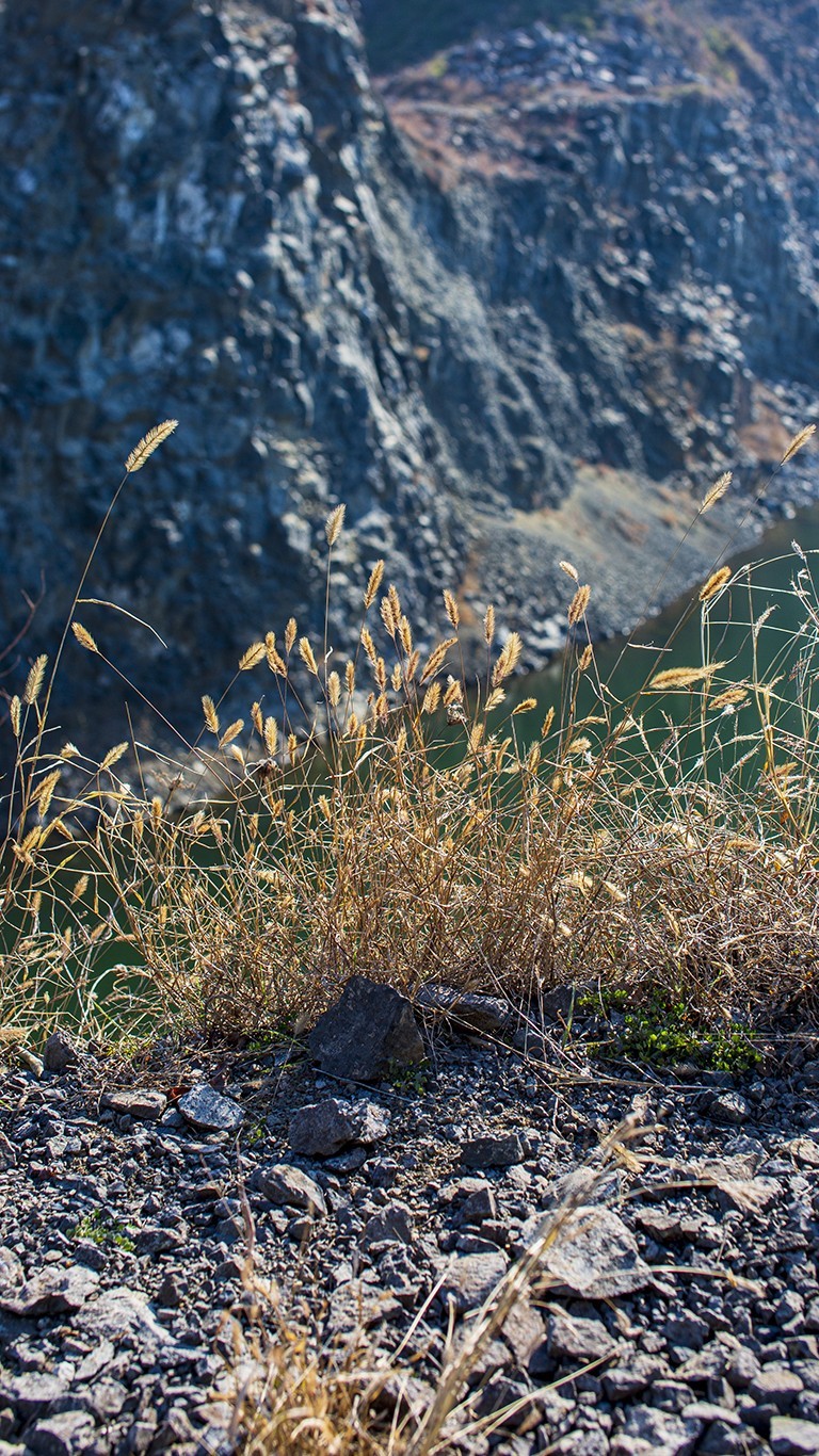 南京六。合西阳山矿坑石柱林