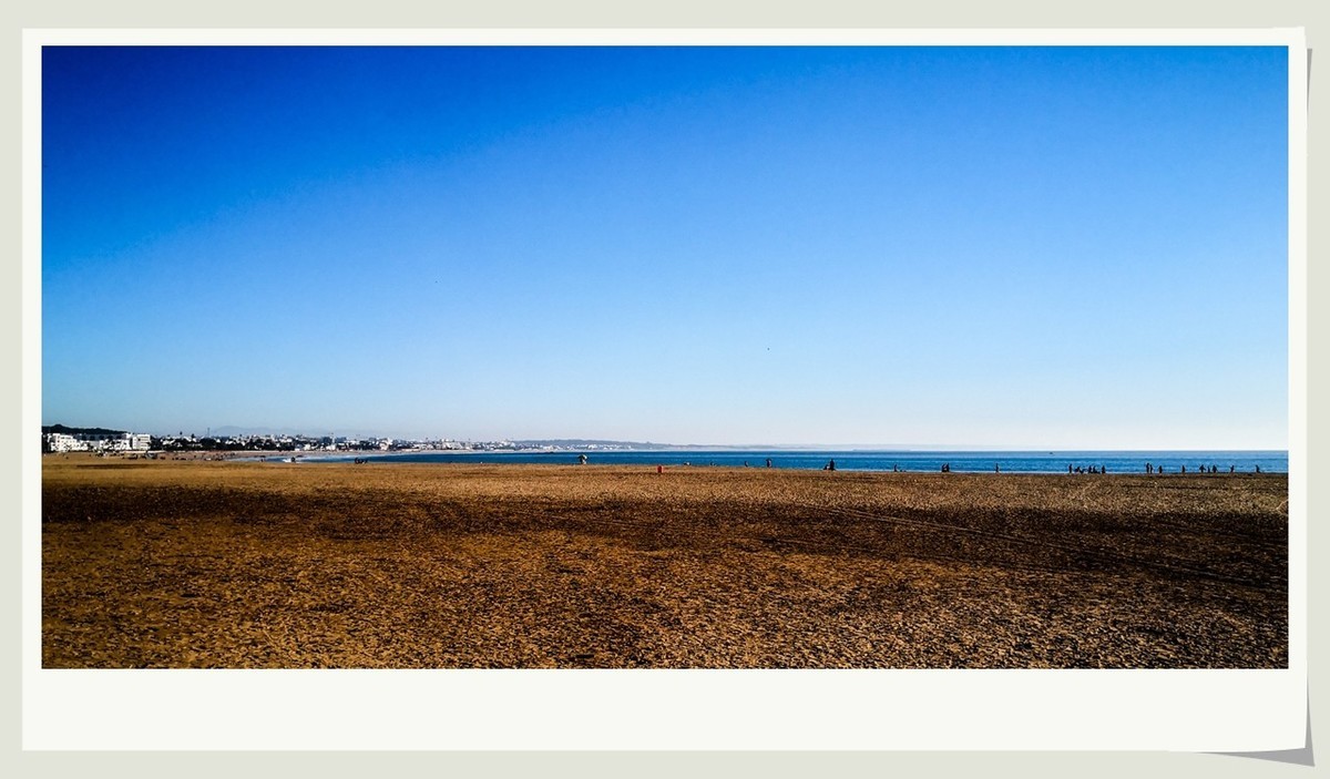 携“阿加迪尔随拍”-- 祝师友兔年吉祥，健康平安！！！