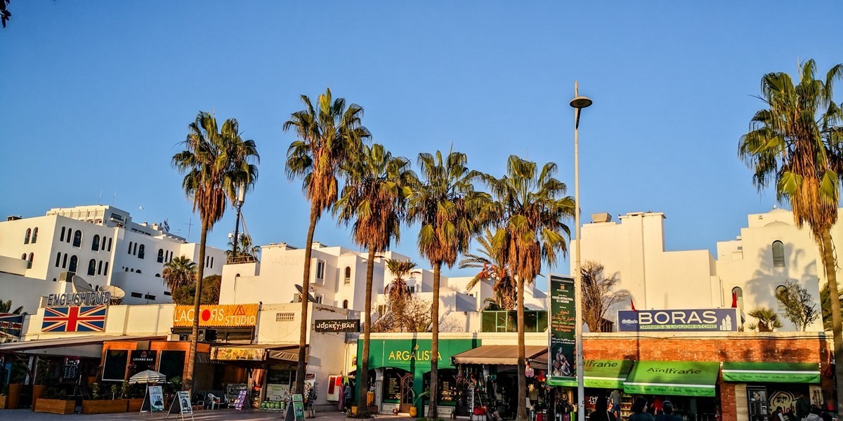 携“阿加迪尔随拍”-- 祝师友兔年吉祥，健康平安！！！